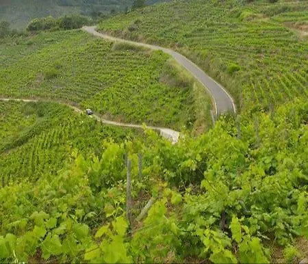 Appartement Balcon San Lorenzo