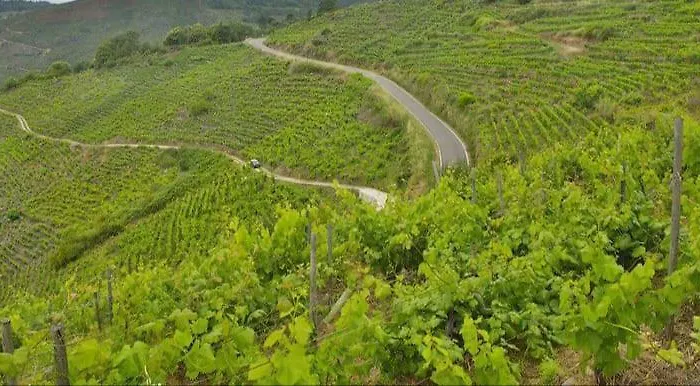 Апартаменты Balcon San Lorenzo